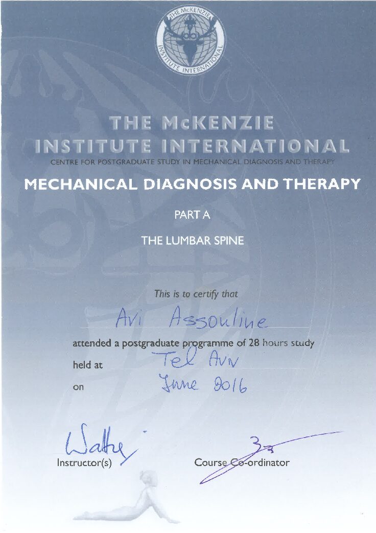 תעודת קורס the lumbar spine